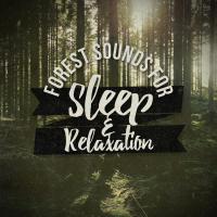 Artwork for Forest Sounds for Sleep and Relaxation by Nature Sounds For Sleep and Relaxation