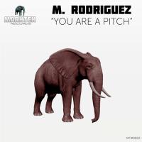 Artwork for You Are A Pitch by M. Rodriguez