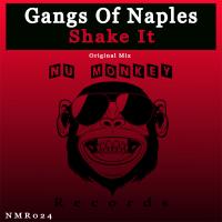 Artwork for Shake It by Gangs of Naples