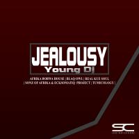 Artwork for Jealousy by Young DJ