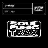 Artwork for Mechouga by DJ Fudge