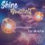 Artwork for Shine Yourself