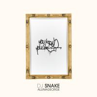 Artwork for You Know You Like It by DJ Snake