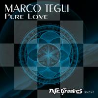 Artwork for Pure Love EP by Marco Tegui