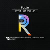 Artwork for Wait for Me EP by Farzin