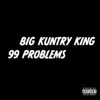 Artwork for 99 Problems by Big Kuntry King