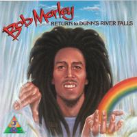 Artwork for Return To Dunn's River Falls by Bob Marley