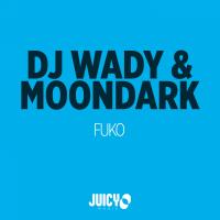 Artwork for FUKO by DJ Wady