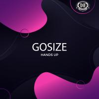 Artwork for Hands Up by Gosize