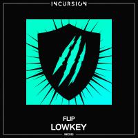 Artwork for Flip by Lowkey