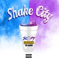 Artwork for Shake City Homecoming: The Album by Mr. Sleepy