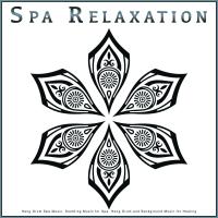 Artwork for Spa Relaxation: Hang Drum Spa Music, Soothing Music for Spa, Hang Drum and Background Music for Healing by Hang Drum Music