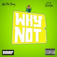 Artwork for Why Not by AkaMikeBerry