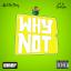 Artwork for Why Not