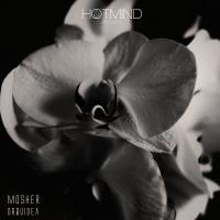 Artwork for Orquidea by Mosher