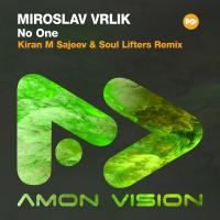 Artwork for No One by Miroslav Vrlik