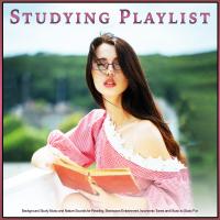 Artwork for Studying Playlist: Background Study Music and Nature Sounds for Reading, Brainwave Entrainment, Isochronic Tones and Music to Study For by Studying Playlist