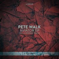 Artwork for Aviator EP by Pete Walk