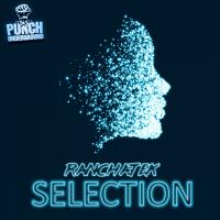 Artwork for Selection by RanchaTek