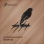 Artwork for Sound Test (Original Mix)