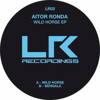 Artwork for Wild Horse EP by Aitor Ronda