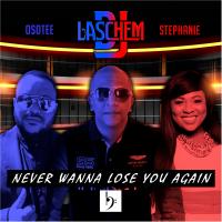 Artwork for Never Wanna Lose You Again by Dj Laschem