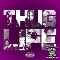 Artwork for THUG LIFE (Swisha House Remix) by Slim Thug