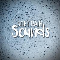 Artwork for Soft Rain Sounds by Rain Sounds