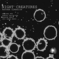 Artwork for Another Dimension by Night Creatures