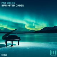 Artwork for Impromptu in C Minor by Paul Skelton