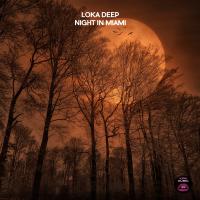 Artwork for Night in Miami by Loka Deep