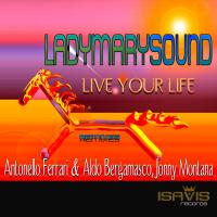 Artwork for Live Your Life (Remixes) by LadyMarySound