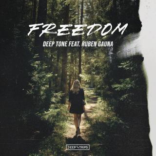 Artwork for Freedom (Original Mix)