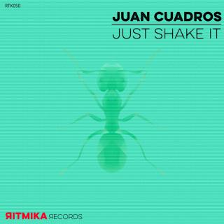 Artwork for Just Shake It (Original Mix)