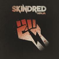 Artwork for Ninja by Skindred