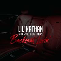 Artwork for Backseat Lovin' by Lil' Nathan & The Zydeco Big Timers