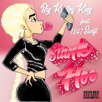 Artwork for Stank Hoe (feat. 1247 Swift) by Big Kuntry King