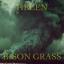 Artwork for Bison Grass 