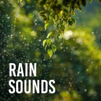 Artwork for Rain Sounds by Rain For Deep Sleep