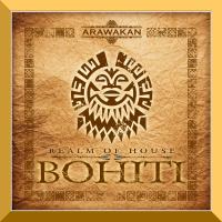 Artwork for Bohiti by Realm of House