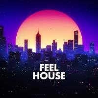 Artwork for Feel House by Techno House