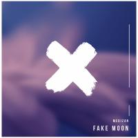 Artwork for Fake Moon by Medizan