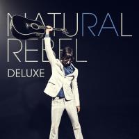 Artwork for Natural Rebel (Deluxe) by Richard Ashcroft