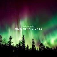 Artwork for Northern Lights by Robyn Goodall