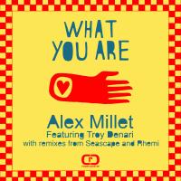 Artwork for What You Are (Seascape and Rhemi Mixes) by Alex Millet