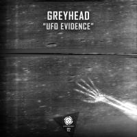 Artwork for UFO Evidence by Greyhead