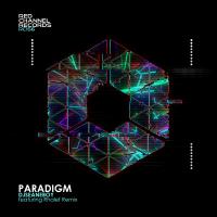 Artwork for Paradigm by djseanEboy