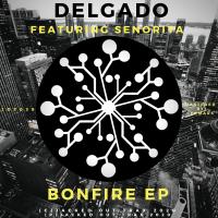 Artwork for Bonfire EP by Delgado