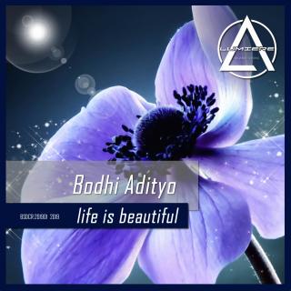 Artwork for Life Is Beautiful