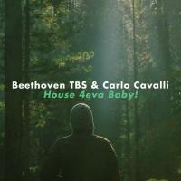 Artwork for House 4eva Baby! by Beethoven TBS